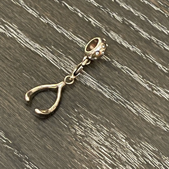 COPY - COPY - Silver Wishbone Brighton Charm - Picture 5 of 6